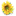 Waldstemme Waldstemme